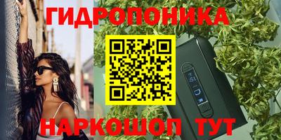 винт Дубна
