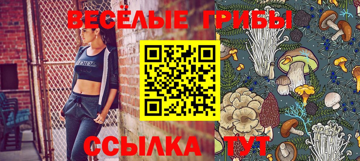 Ливны  Галлюциногенные грибы Magic Shrooms  Вход с VPN  Псилоцибиновые грибы Magic Shrooms 